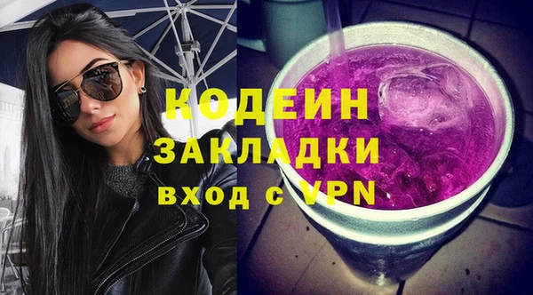 СК Пересвет
