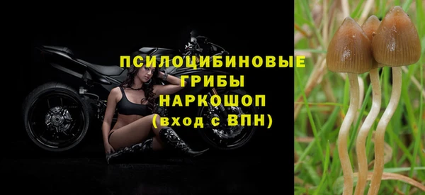 гидра Алзамай