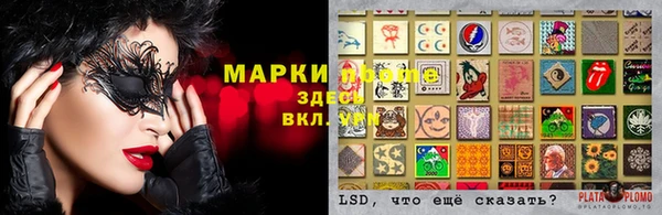 PSILOCYBIN Алексеевка