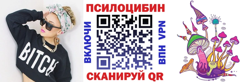 Псилоцибиновые грибы Psilocybine cubensis  Ленинск-Кузнецкий 