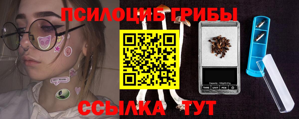 Ленинск-Кузнецкий  Псилоцибиновые грибы Magic Shrooms  Вход с VPN 